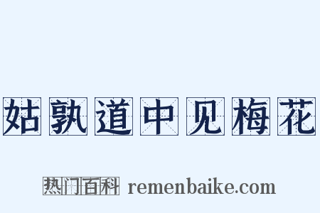姑孰道中见梅花是什么意思的图片